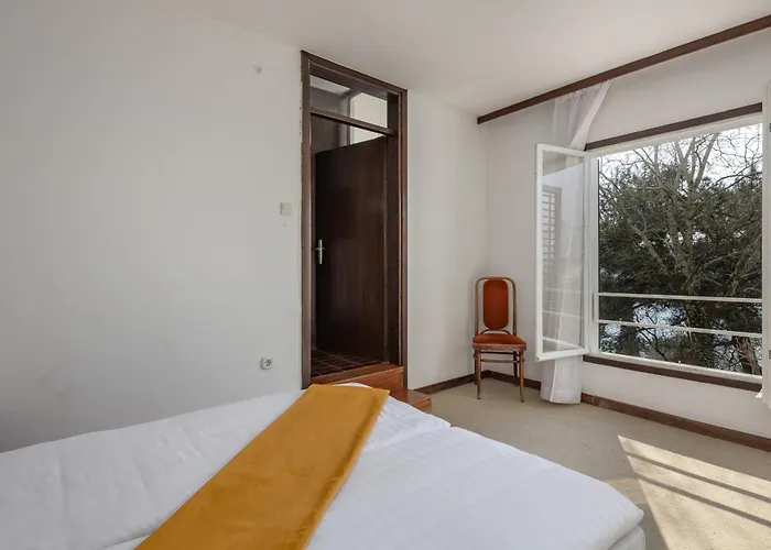 Uvala Scott קראליביצה