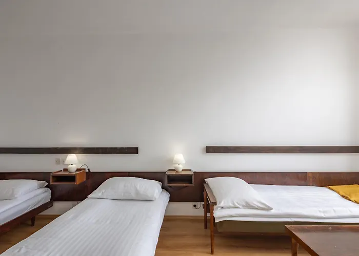 Uvala Scott אורחן